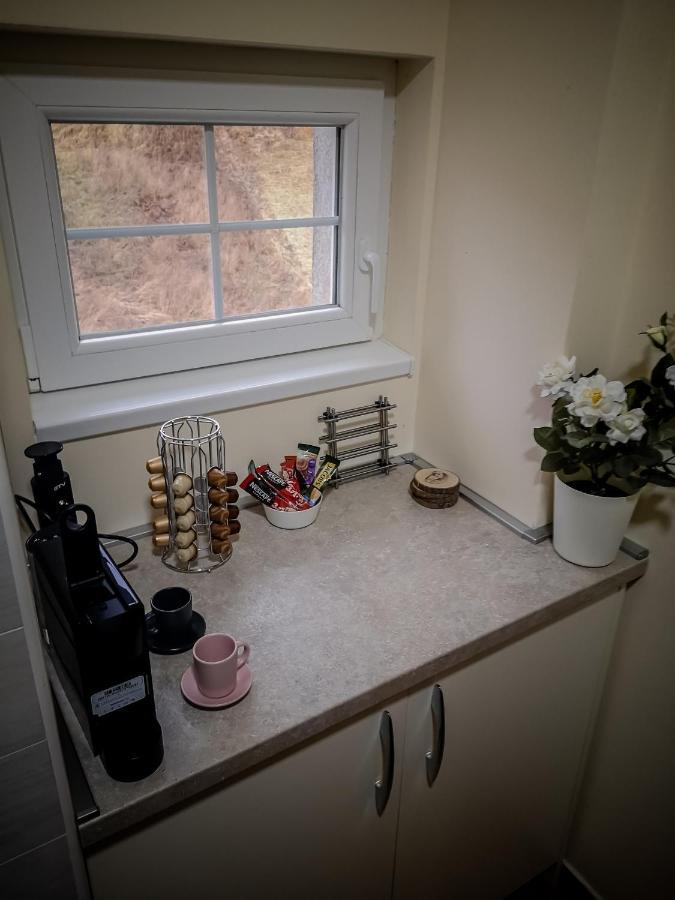 Star Apartman Brzece Kopaonik Εξωτερικό φωτογραφία