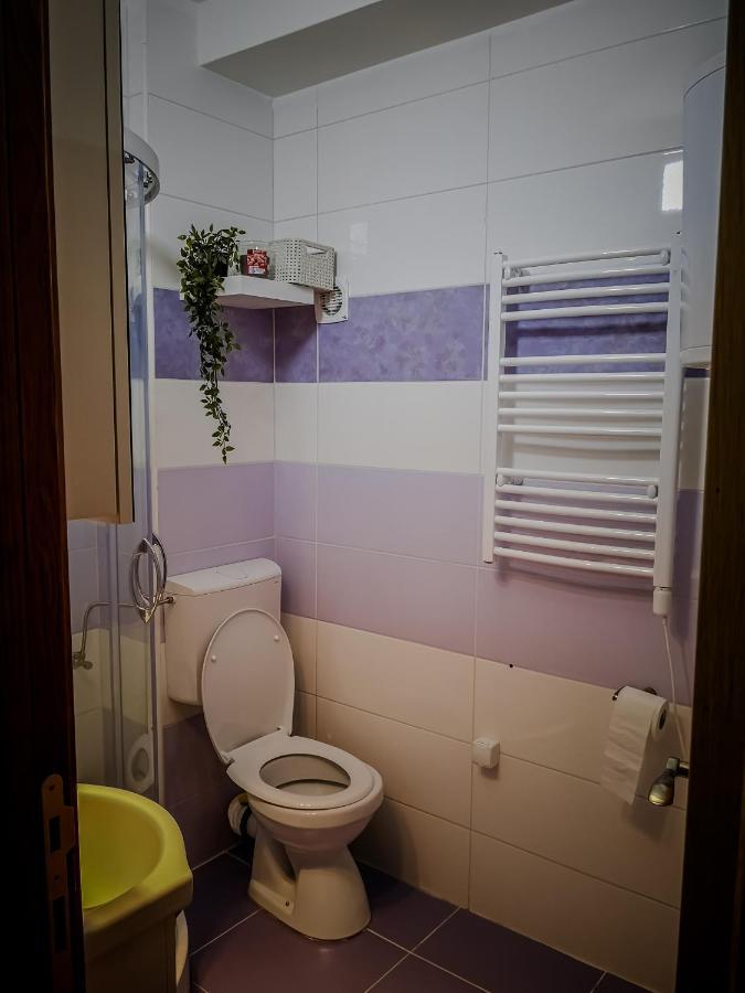 Star Apartman Brzece Kopaonik Εξωτερικό φωτογραφία